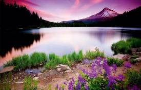 Hello This Is Test News 8