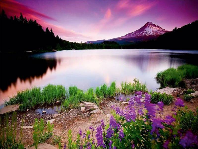 Hello This Is Test News 8